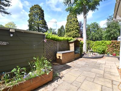 Picture 14